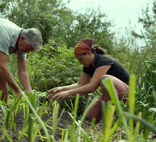 EDC_documentaire_demain
